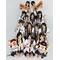 [D:F9ED]★AKB48★[D:F9ED]