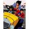 Great Lupin Family
