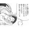 新生禿頭教