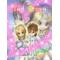 ｡*☆ｳﾞｧﾙﾄﾞ&ｪﾘｶ☆*ﾟ