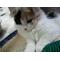 ねこのしっぽ☆