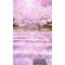 [V:4530]不知火の矢[V:4F49][V:4530]