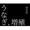 うなぎさんチーム