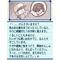 パワポケ好きの集団