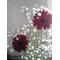 [D:F992][D:F9ED]Flower Room[D:F9ED][D:F992]