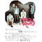 [V:462C]RADWIMPS‐Love[V:462C]